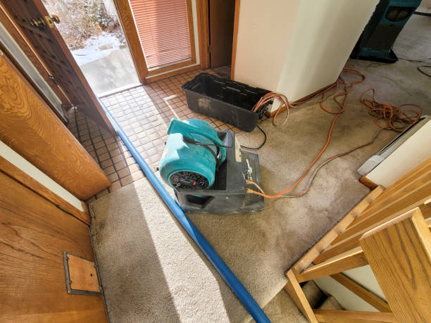 Best Water damage restoration company  in Cartersville, GA
