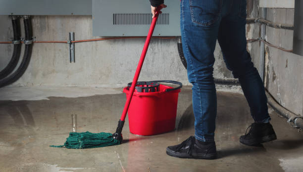 Best Water damage restoration experts  in Cartersville, GA