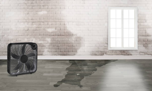 Best Flood restoration services  in Cartersville, GA
