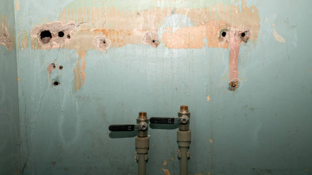 Best Water damage cleanup near me  in Cartersville, GA