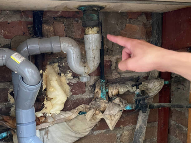 Best Basement water damage restoration  in Cartersville, GA