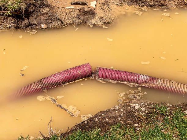 Best Basement water damage restoration  in Cartersville, GA